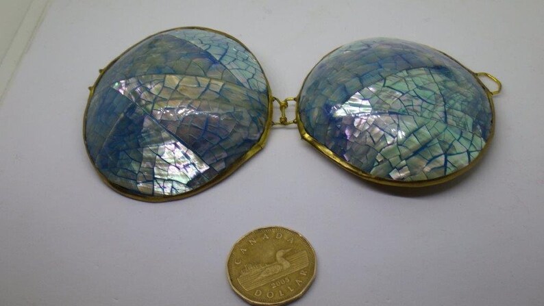 Vintage Unusual Real Shell Coin Purse Blue Shimmer