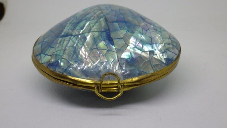 Vintage Unusual Real Shell Coin Purse Blue Shimmer