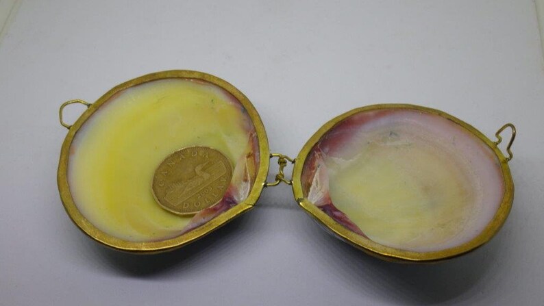 Vintage Unusual Real Shell Coin Purse Blue Shimmer