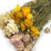 see more listings in the Dried/Preserved Flowers section