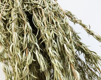 dried rosemary etsy