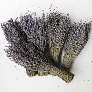 Dried English Lavender Bunch, 200-250 Stems, 3 oz Preserved for Longevity, Blue Purple Color, Fragrant and Beautiful for Weddings Home Decor image 9