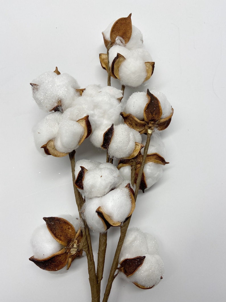 13 18 31 Cotton Stem, Cotton Balls, Branches, Bunch, Wedding, Rustic, Country, DIY, Flowers, Floral, Anniversary, Farmhouse, stems, white image 9