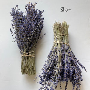 Dried English Lavender Bunch, 200-250 Stems, 3 oz Preserved for Longevity, Blue Purple Color, Fragrant and Beautiful for Weddings Home Decor image 10