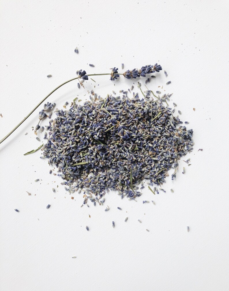 20 Cups Dried English Lavender Buds, Calming Fragrance, Wedding Favors image 3