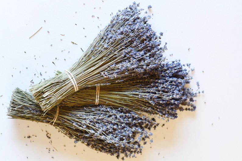 Dried English Lavender Bunch, 200-250 Stems, 3 oz Preserved for Longevity, Blue Purple Color, Fragrant and Beautiful for Weddings Home Decor image 3