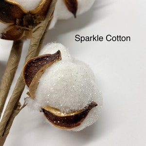 13 18 31 Cotton Stem Cotton Balls image 7