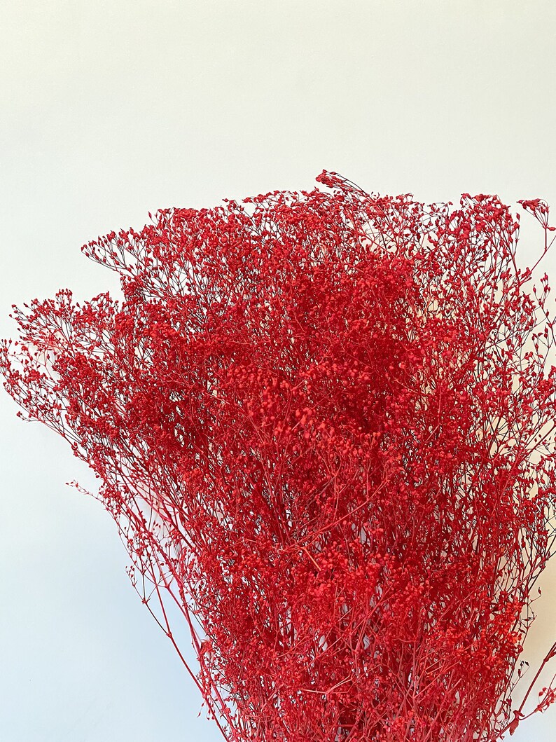 Preserved Mini Gyp Filler Flowers, Home Decor, Wedding Bouquet Red