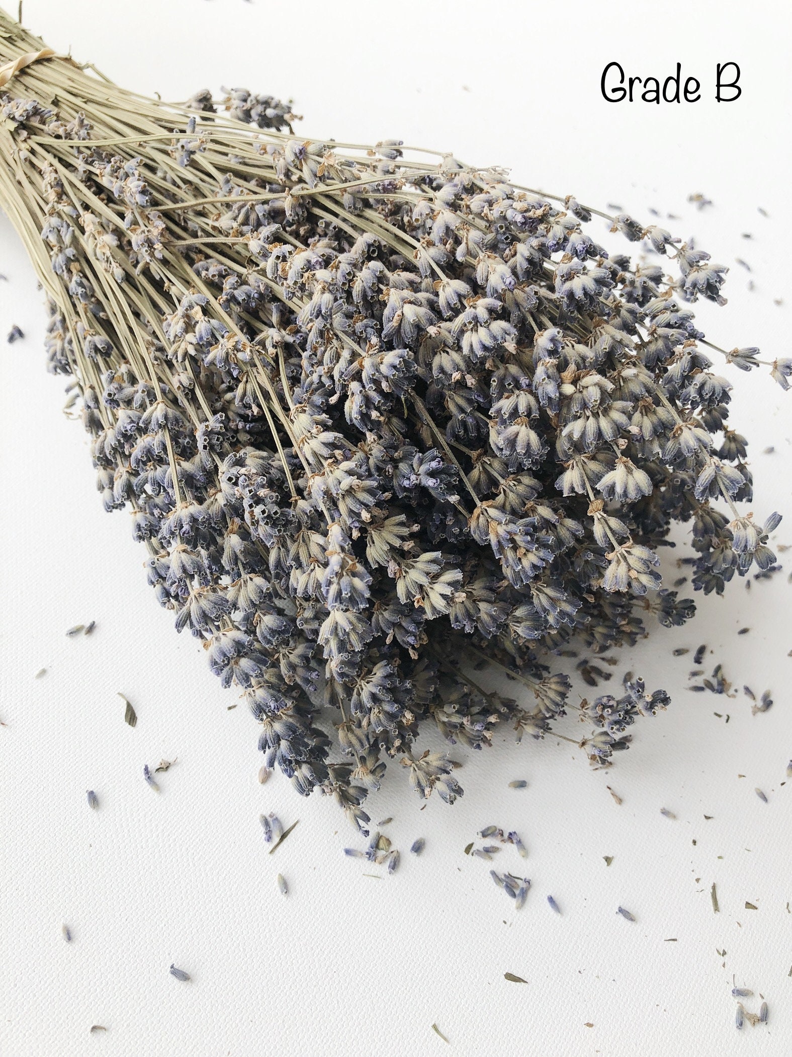Dried Lavender 5 Bunches Stems Preserved Dried English Etsy