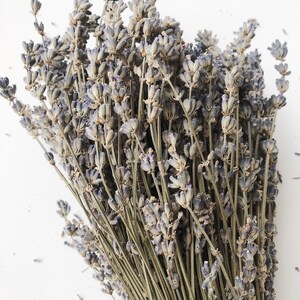 Dried English Lavender Bunch, 200-250 Stems, 3 oz Preserved for Longevity, Blue Purple Color, Fragrant and Beautiful for Weddings Home Decor image 7