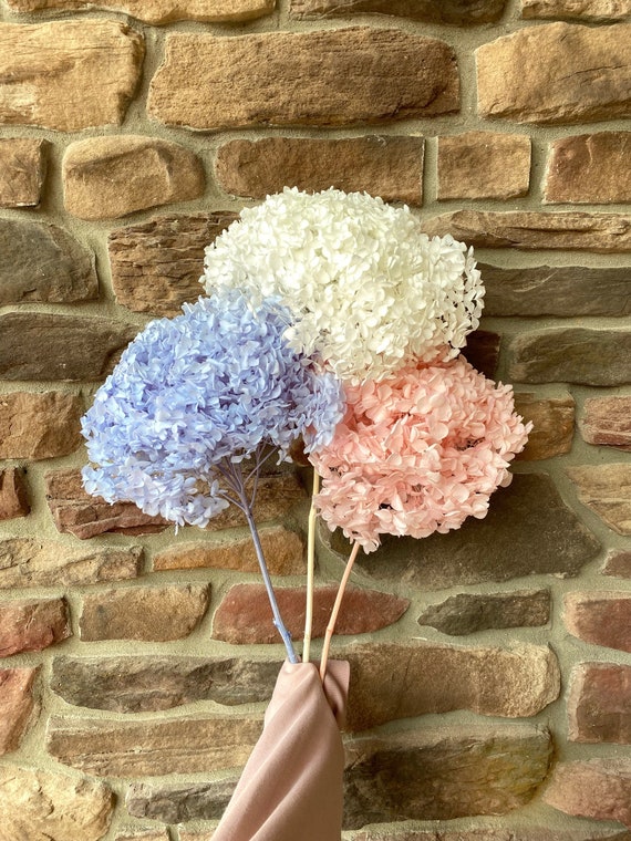 Hydrangea, Premium, Fluffy, White, Pink, Blue, Filler, House Decor, Bleached, Bridal, Preserved, Baby Shower, Colorful