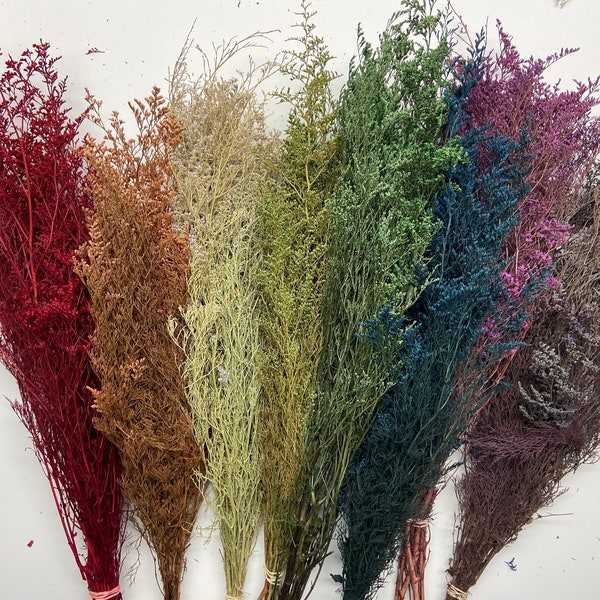 Preserved Caspia Bunch, Dried Filler Flowers, Home Decor