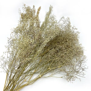 Babies Breath, Dry Flowers, White, Green, Wedding Bouquet, Home Decor, Dried Flowers, Wildflowers, Farmhouse, Filler Flowers