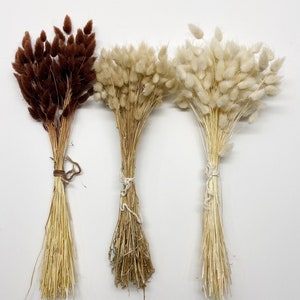 May include: Three bundles of dried pampas grass, one brown, one beige, and one white. The bundles are tied with twine and are ready to be used in home decor.