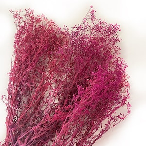 Preserved Mini Gyp Filler Flowers, Home Decor, Wedding Bouquet Pink