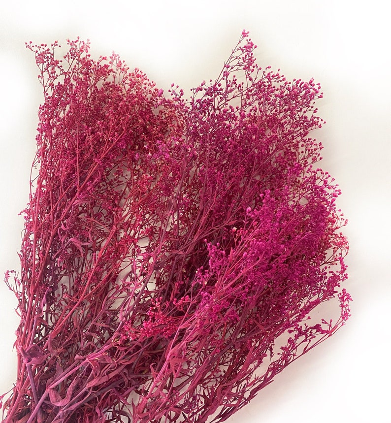 Preserved Mini Gyp Filler Flowers, Home Decor, Wedding Bouquet Pink