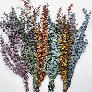 Preserved Eucalyptus, Frosted Green, Orange, Tan, Frosted Olive, Blue, Floral Bunch, Flowers, Wedding, Crafts Dried Bouquet