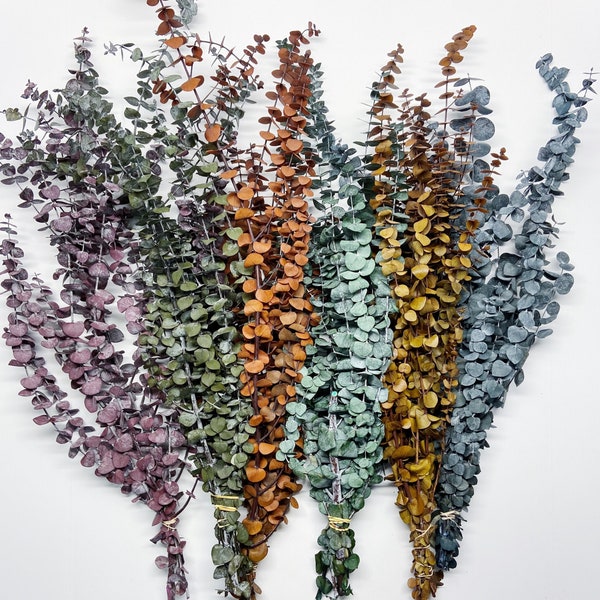 Preserved Eucalyptus Bunch, Frosted Floral Bouquet, Wedding Decor