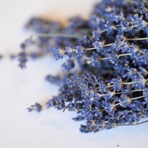 Dried English Lavender Bunch, 200-250 Stems, 3 oz Preserved for Longevity, Blue Purple Color, Fragrant and Beautiful for Weddings Home Decor image 5