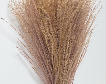 May include: A bunch of dried pampas grass with a natural brown and light pink color. The stems are bundled together at the bottom.