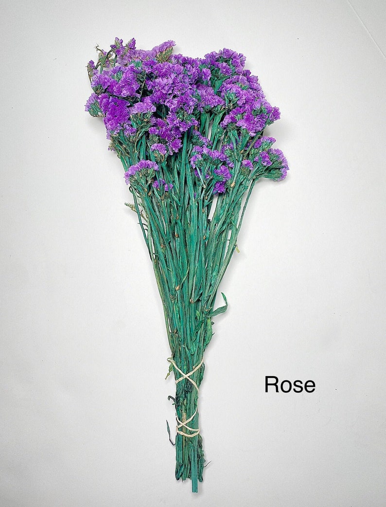 Sinuata Statice, Limonium Sinuatum, Pink, Rose, Blue Statice, Blue, White, Dried, Preserved Flowers Real Flowers Wedding Flowers Bouquet image 4