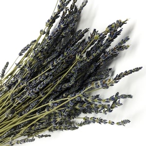 French Lavender, Preserved Flowers, Dried Flower, Lavender, Long Stems, Dried Lavender, Bundles, Wedding, Home Decor, Floral, Flowers