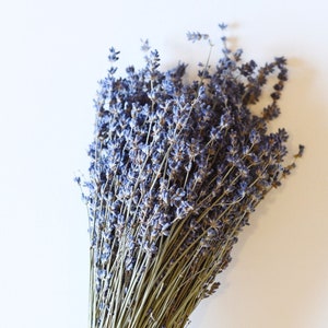 Dried English Lavender Bunch, 200-250 Stems, 3 oz Preserved for Longevity, Blue Purple Color, Fragrant and Beautiful for Weddings Home Decor image 4