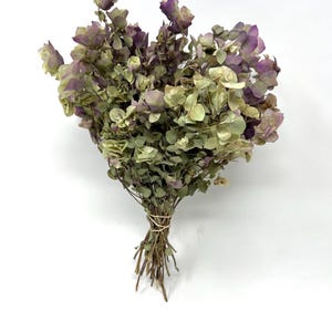 May include: A bunch of dried oregano flowers with green leaves and purple flowers.