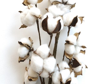 13" 18" 31" Cotton Stem, Cotton Balls, Branches, Bunch, Wedding, Rustic, Country, DIY, Flowers, Floral, Anniversary, Farmhouse, stems, white