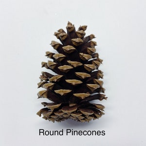 Natural Pinecones, Christmas Winter Home Decor, Set of 5 image 10