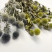 Dried Blue Globe Thistle, Long Stem, Echinops, Green, Purple, Boutonniere Flower, Flowers, Bouquets, Wedding, Floral, DIY, Ball Decor
