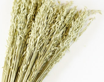 Dried Avena Oats, Green Grains, Dried Oats, Wedding Preserved Bouquets, Bunches, Natural Flax, Golden Pods, Flowers, Wheats and Grass