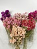 Globe Amaranth, Gomphrena, Dry Flowers, Dried, Red, Fuchsia Pink, Rose Pink, Dry Flowers, Floral, Wedding, Wildflowers Floral Arrangements 