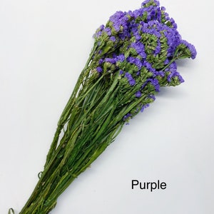 Sinuata Statice, Limonium Sinuatum, Pink, Rose, Blue Statice, Blue, White, Dried, Preserved Flowers Real Flowers Wedding Flowers Bouquet image 2