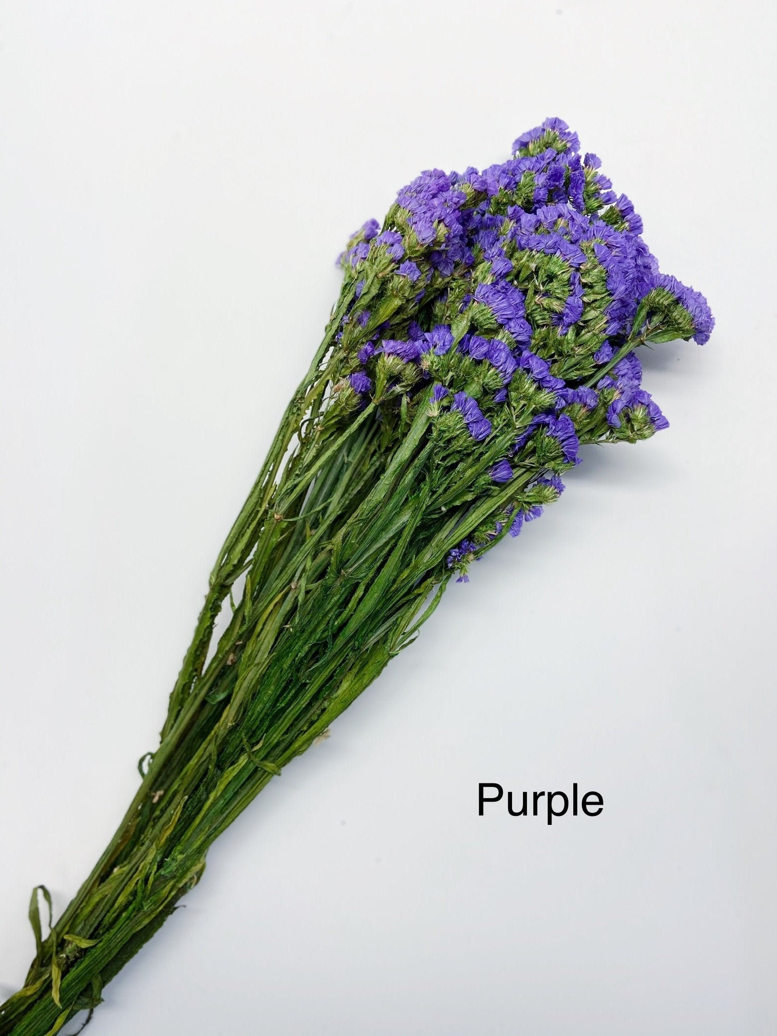 Statice sinuata natural blue dried flowers, Length ± 70 cm, Available per  bunch 