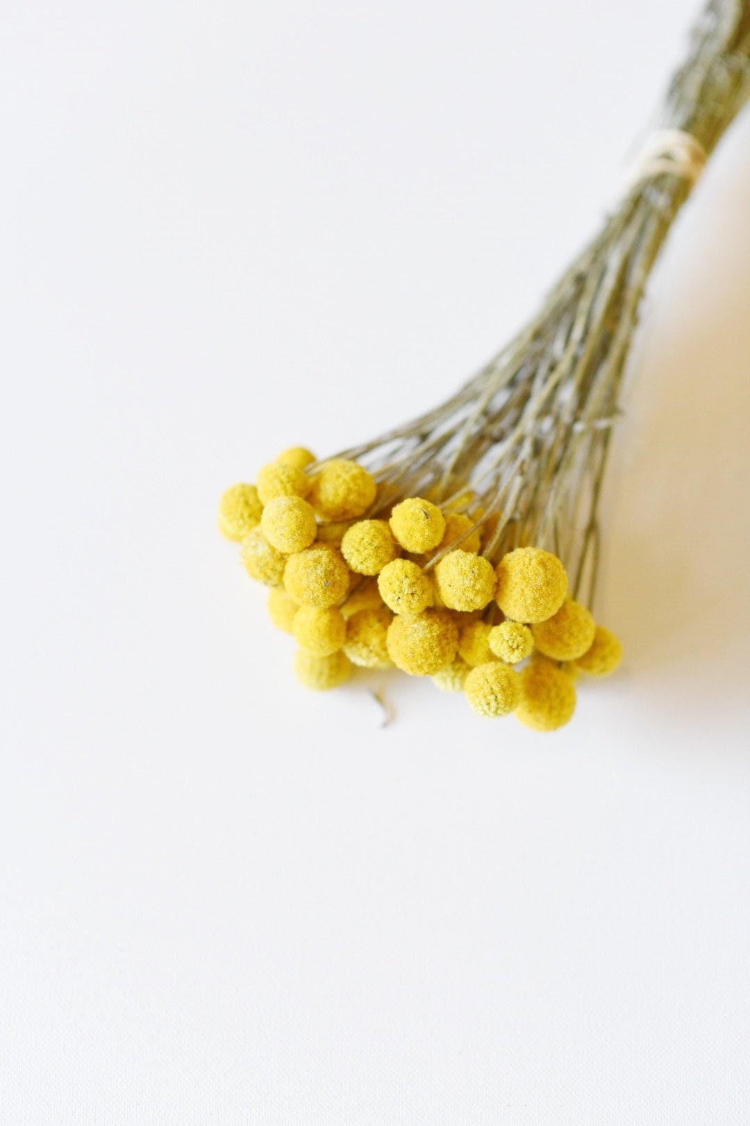 A Charming Weekend Upstate - by Jalil Johnson, image size:1080x1620