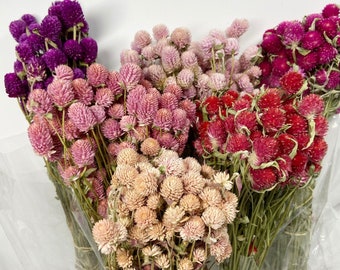 Globe Amaranth, Gomphrena, Dry Flowers, Dried, Red, Fuchsia Pink, Rose Pink, Dry Flowers, Floral, Wedding, Wildflowers Floral Arrangements