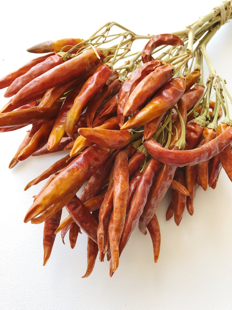 Dried Red Chili Peppers Chiles Dried Flowers Preserved Etsy