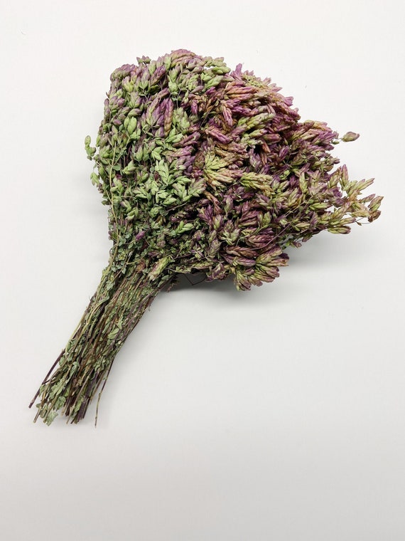 Santa Cruz Oregano Dry Flowers Wedding Bouquet Dried Herbs Etsy