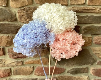 Hydrangea, Premium, Fluffy, White, Pink, Blue, Filler, House Decor, Bleached, Bridal, Preserved, Baby Shower, Colorful