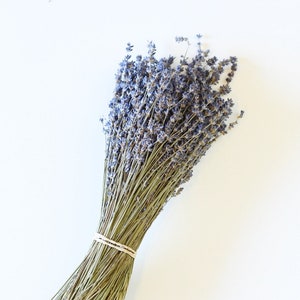 Dried English Lavender Bunch, 200-250 Stems, 3 oz Preserved for Longevity, Blue Purple Color, Fragrant and Beautiful for Weddings Home Decor image 1