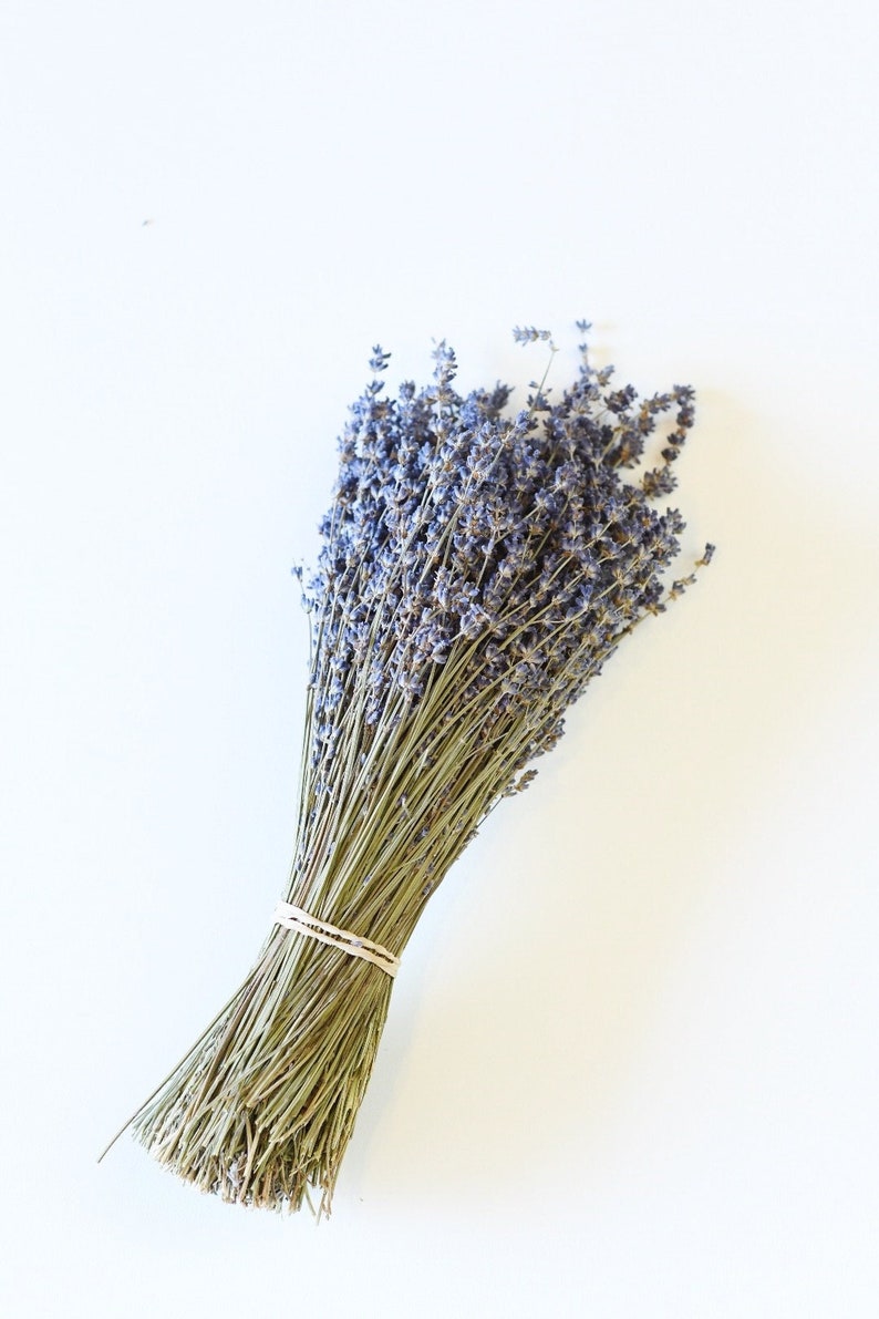 Dried English Lavender Bunch, 200-250 Stems, 3 oz Preserved for Longevity, Blue Purple Color, Fragrant and Beautiful for Weddings Home Decor image 1