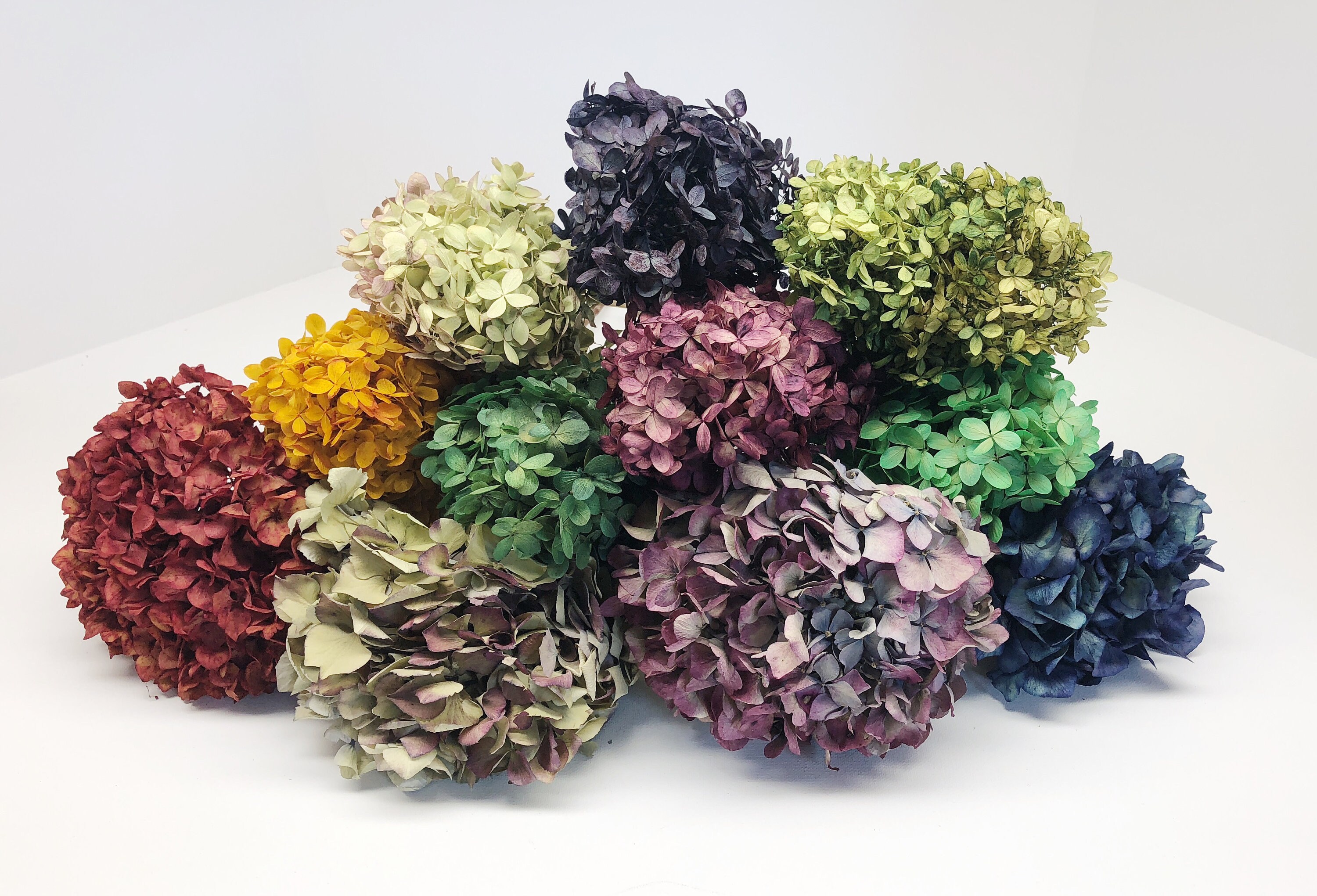 Comment faire sécher des fleurs sans perdre leur couleur ?