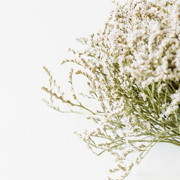 German Statice, Dry Flowers, White, Green, Wedding Bouquet, Floral Supply, Home Decor, Dried Wreath, Wildflowers Bunch, Farmhouse, Star