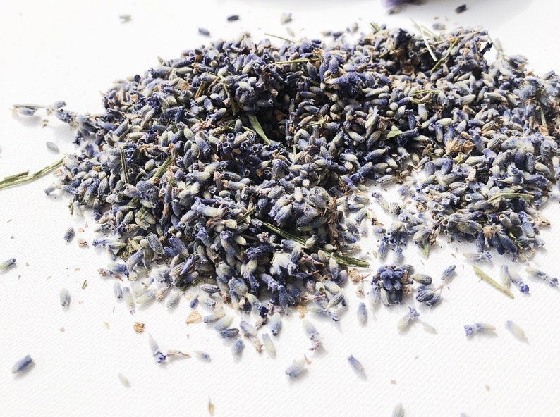 20 Cups Dried English Lavender Buds, Calming Fragrance, Wedding Favors image 2