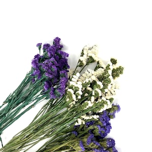 White Dried Statice Flowers White Limonium Bouquet White Statice