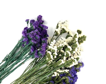 Puede incluir: Un ramo de flores secas en tonos de morado y blanco. Las flores están dispuestas en un estilo suelto y natural, con los tallos extendiéndose desde el centro.