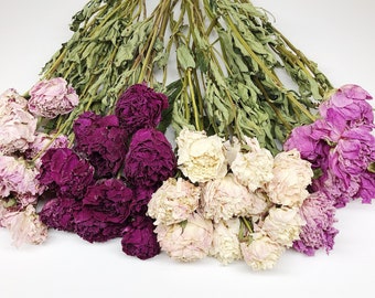 Dried Peony Blooms – Rustic Wedding & Home Decor