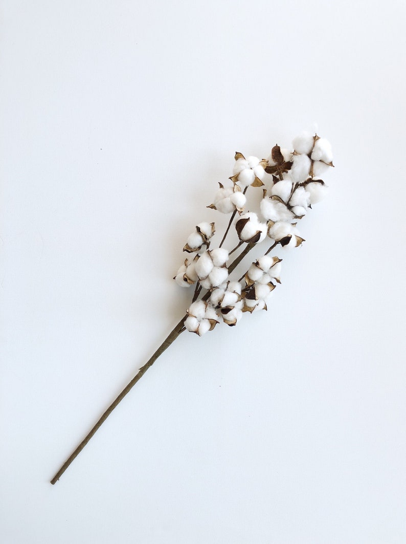 13 18 31 Cotton Stem, Cotton Balls, Branches, Bunch, Wedding, Rustic, Country, DIY, Flowers, Floral, Anniversary, Farmhouse, stems, white image 2