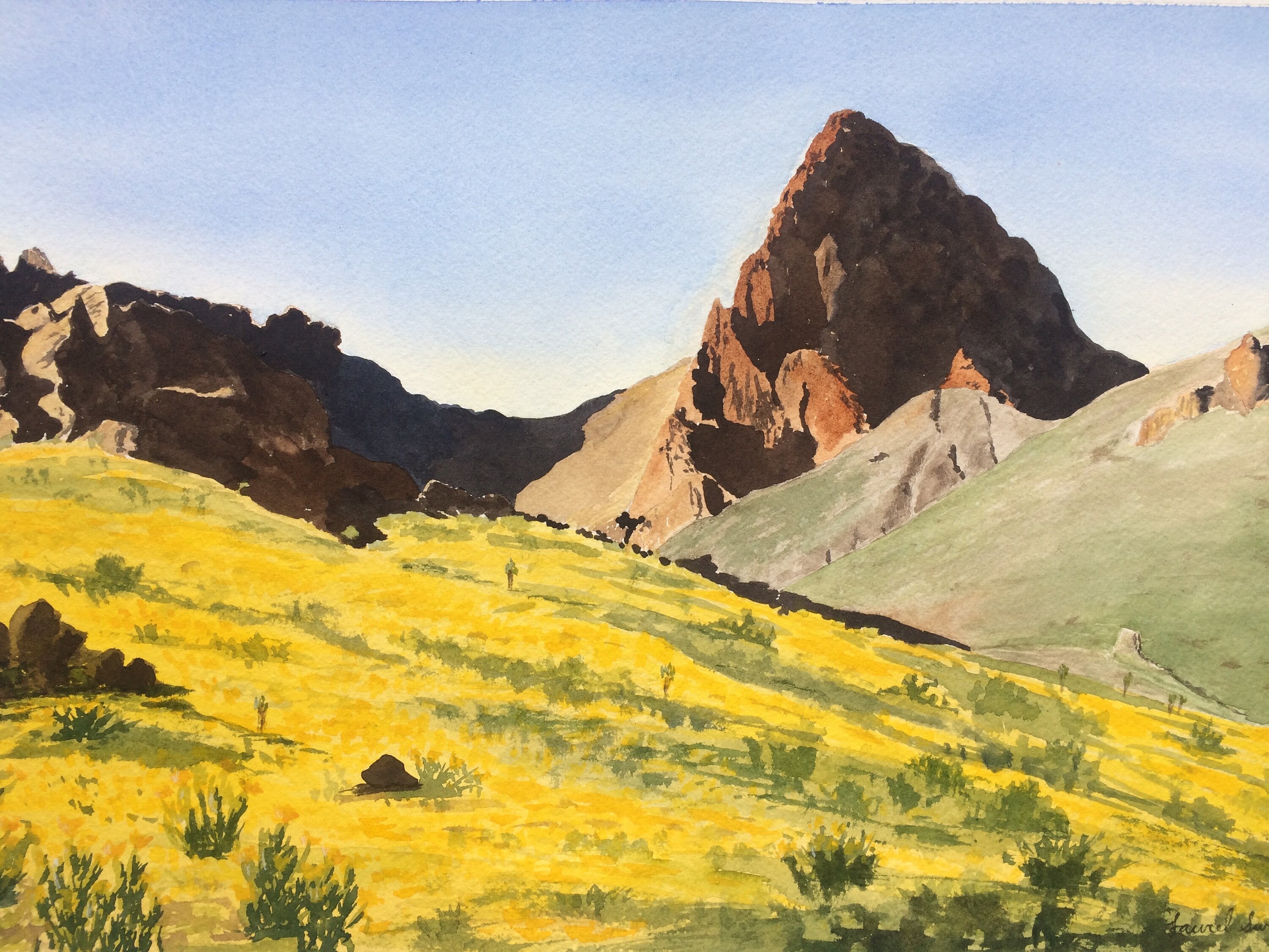 Arizona Superbloom Etsy